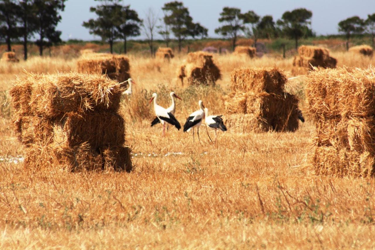 Herdade Dos Salgados Do Fialho FAO Exteriör bild
