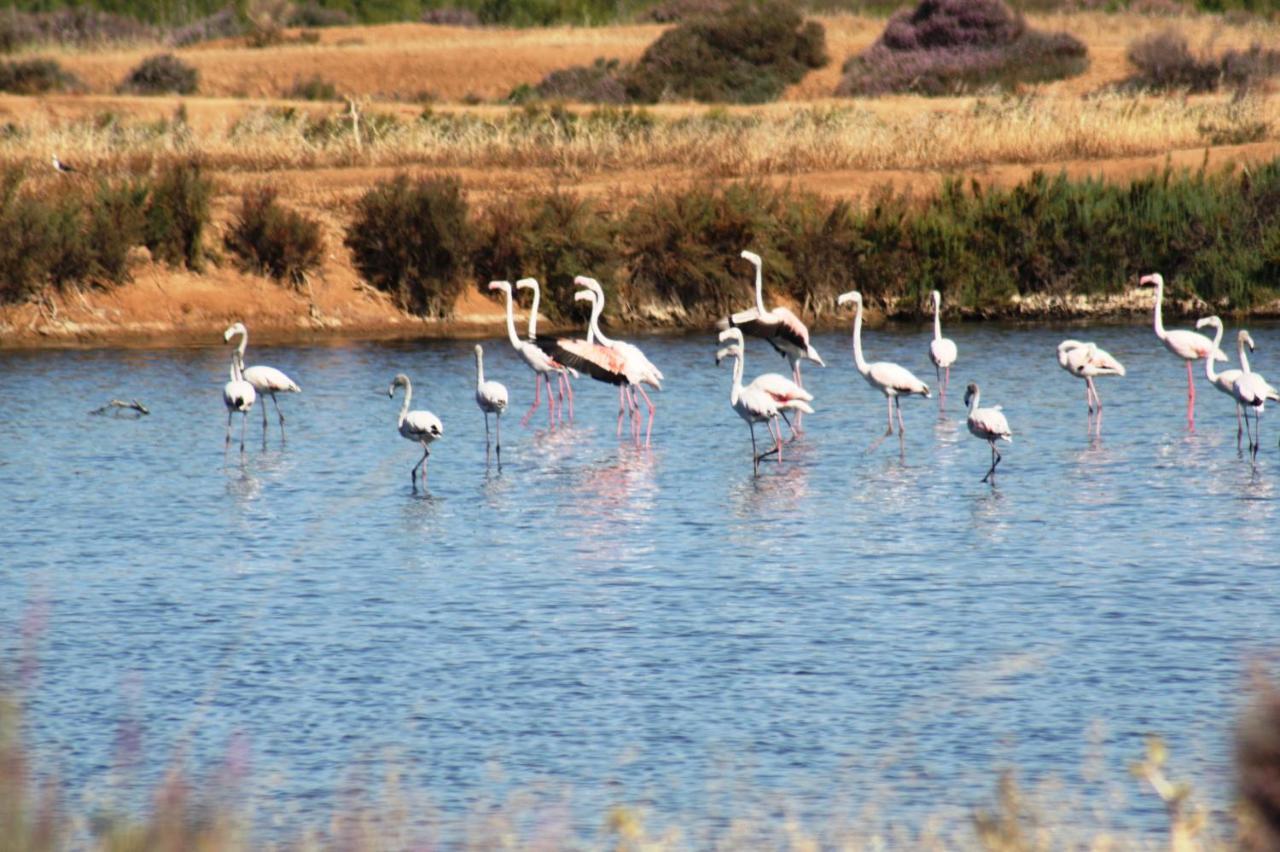Herdade Dos Salgados Do Fialho FAO Exteriör bild