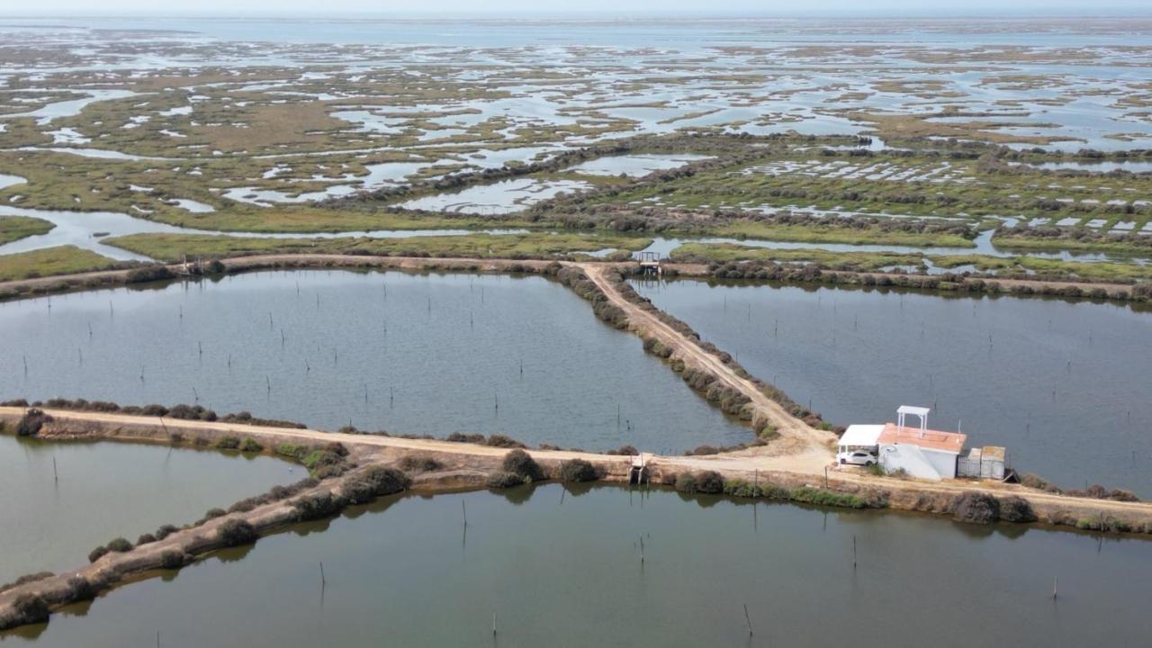 Herdade Dos Salgados Do Fialho FAO Exteriör bild