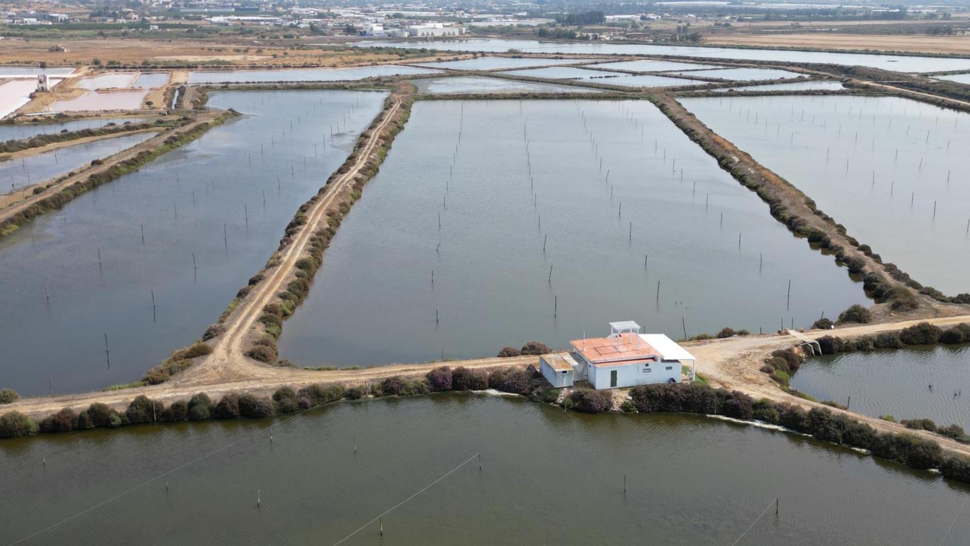 Herdade Dos Salgados Do Fialho FAO Exteriör bild