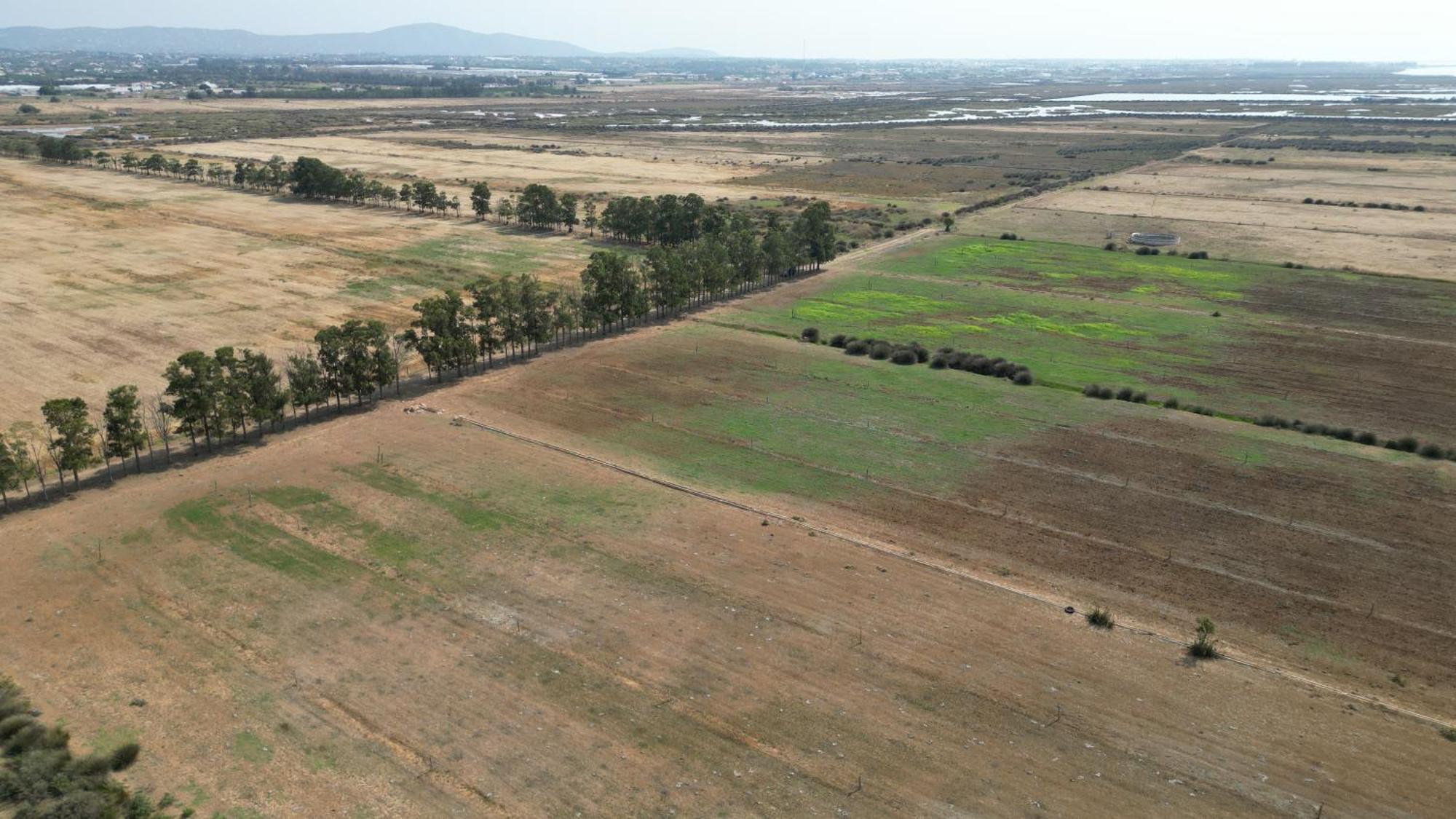 Herdade Dos Salgados Do Fialho FAO Exteriör bild