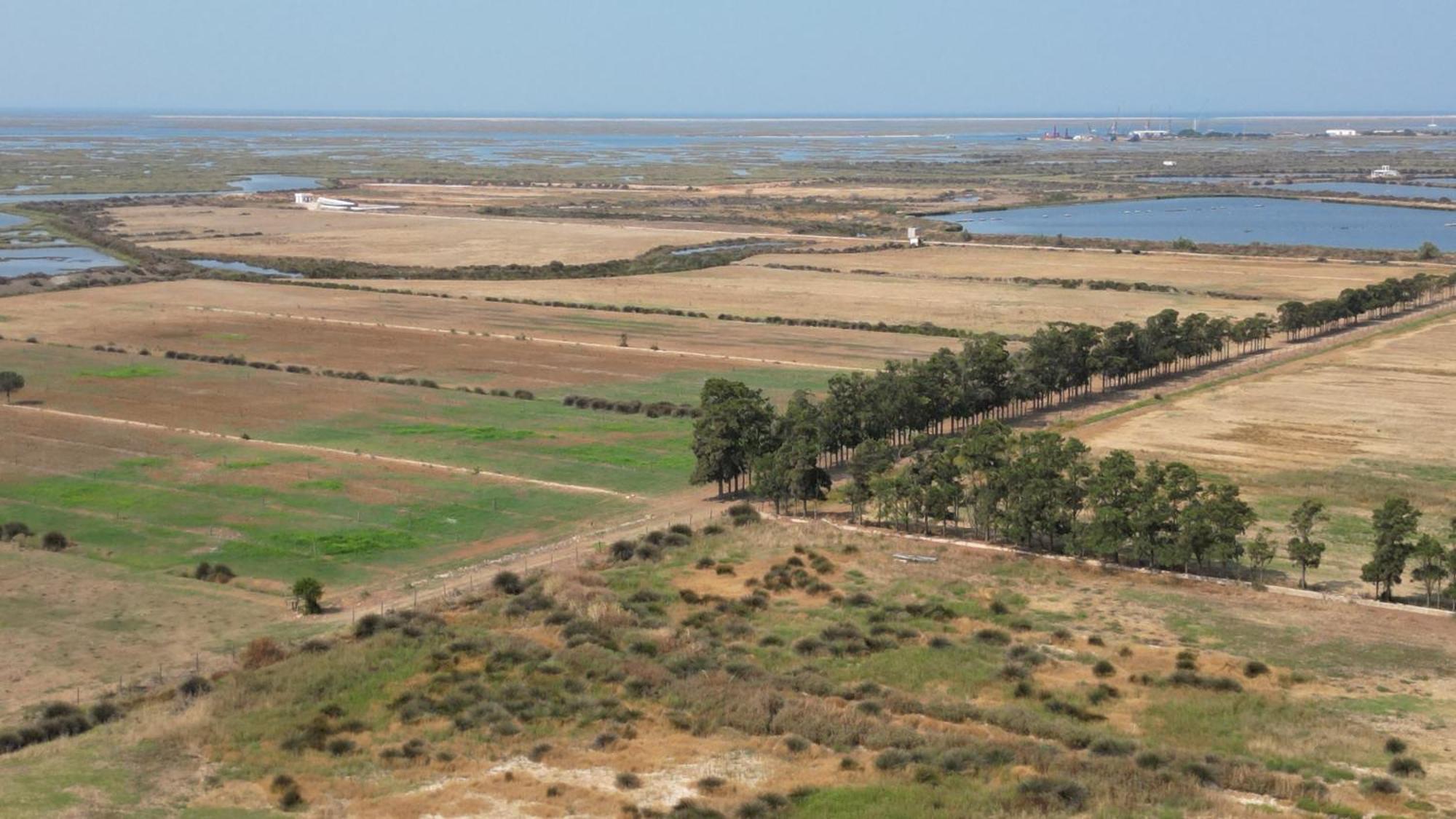 Herdade Dos Salgados Do Fialho FAO Exteriör bild
