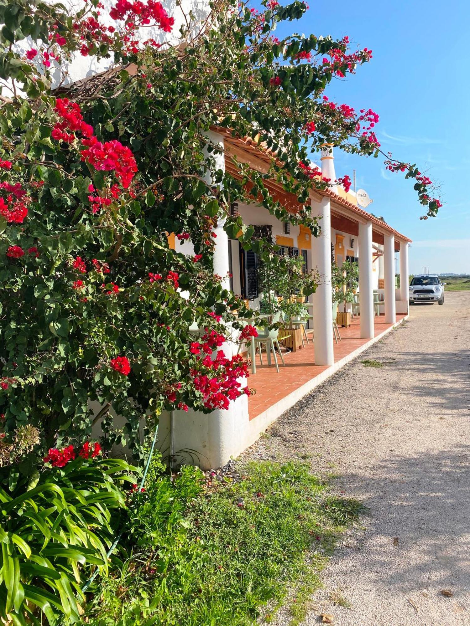 Herdade Dos Salgados Do Fialho FAO Exteriör bild